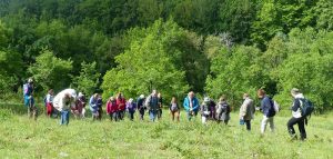 Groupe de botanistes à La Gabertie